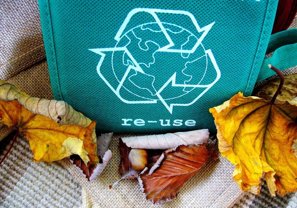 10 Must-Have Eco-Friendly Products For A Greener Homeschool